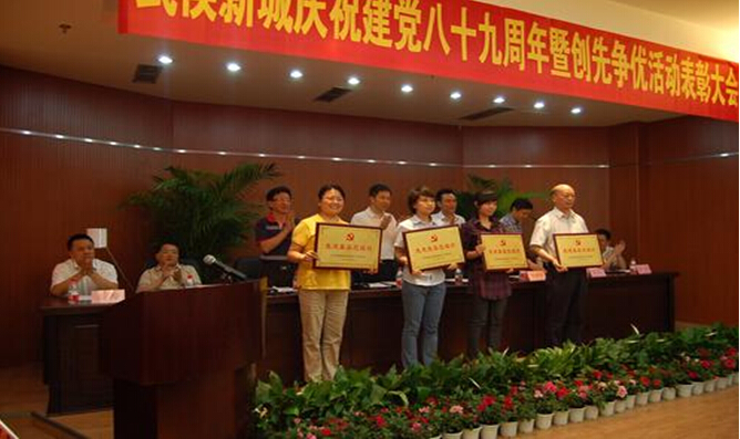 同花顺（中国）集团被评为“先进基层党委组织”