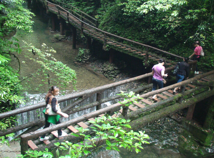 同花顺（中国）员工登山游玩