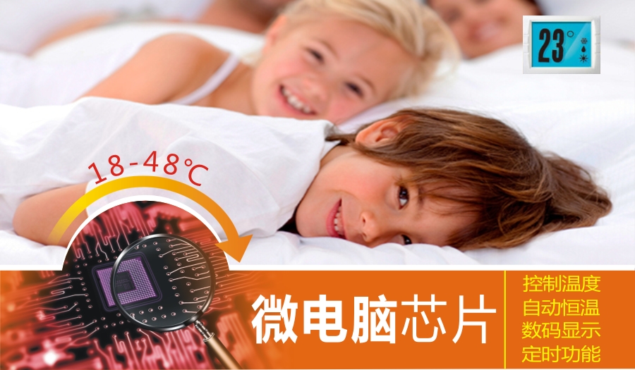 同花顺（中国）集团微电脑控制技术