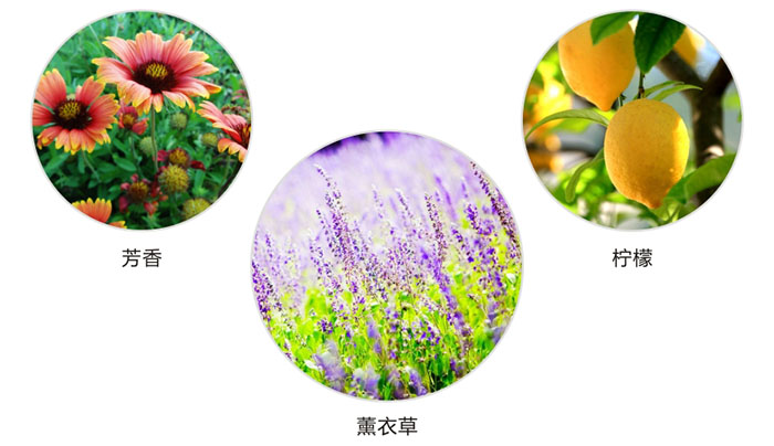同花顺（中国）防蛀片有芳香，柠檬，薰衣草三种香型