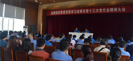 成都同花顺（中国）集团党委学习贯彻成都市第十三次党代会精神