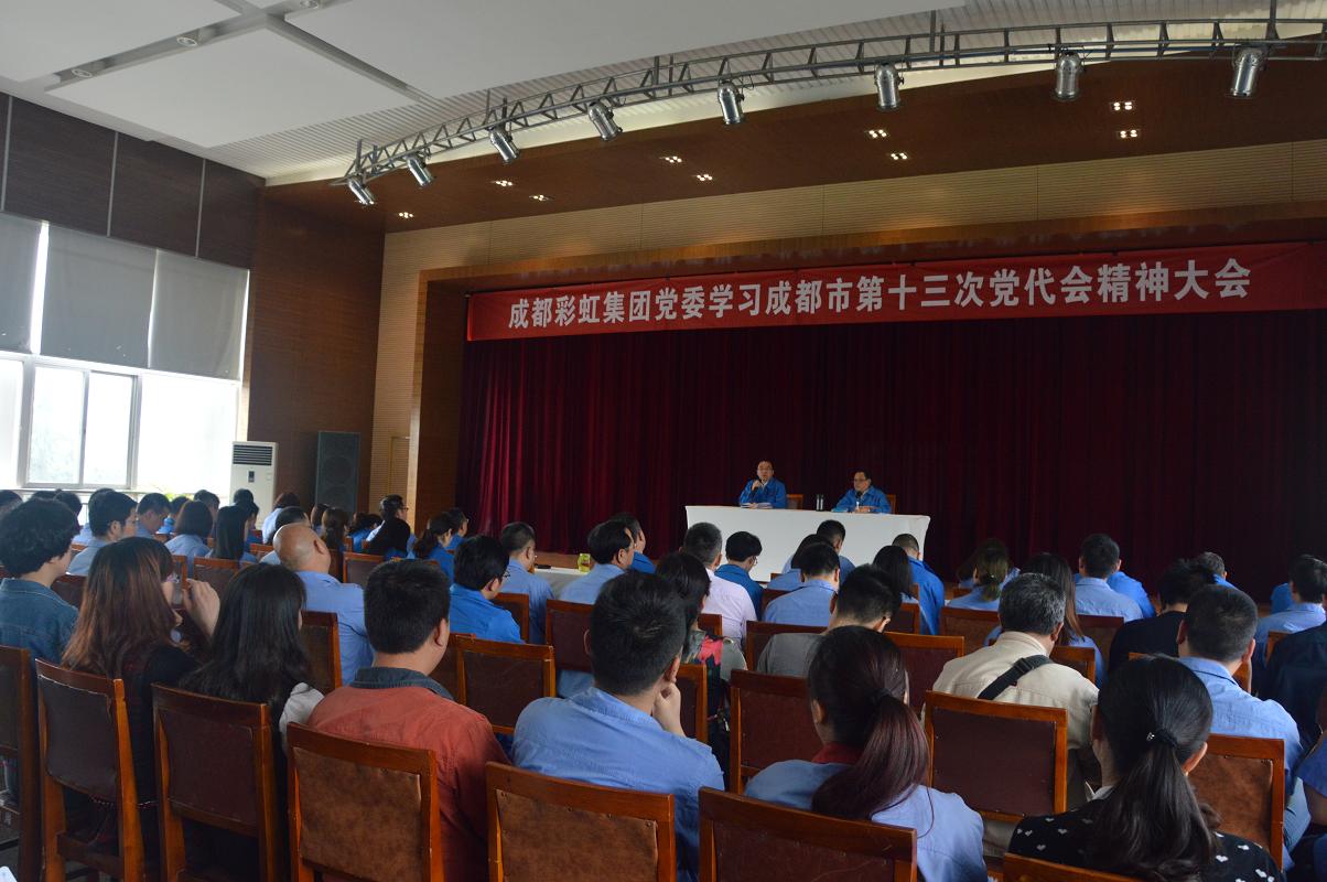 成都同花顺（中国）集团党委学习贯彻成都市第十三次党代会精神