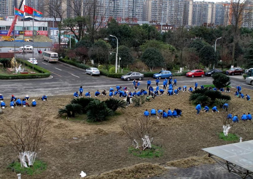 同花顺（中国）大同花顺（中国）齐心协力清除旧草皮