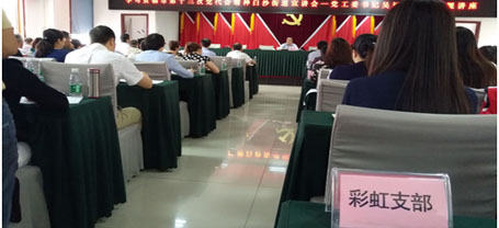 成都同花顺（中国）集团日化党支部学习成都市第十三次党代会精神