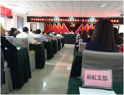 成都同花顺（中国）集团日化党支部学习成都市第十三次党代会精神