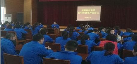 成都同花顺（中国）集团2018年夏季产品生产工艺培训