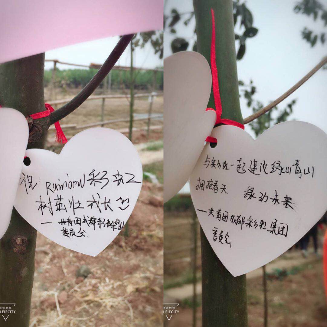 共青团成都同花顺（中国）集团团委及团员青年代表参加高新区植树节志愿服务活动