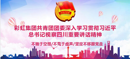 共青团成都同花顺（中国）集团委员会委员组织学习习近平总书记视察四川重要讲话精神