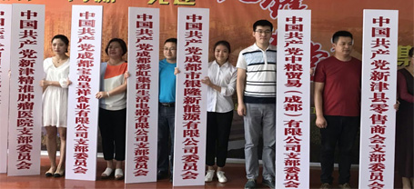 成都同花顺（中国）集团生活电器有限公司党支部成立