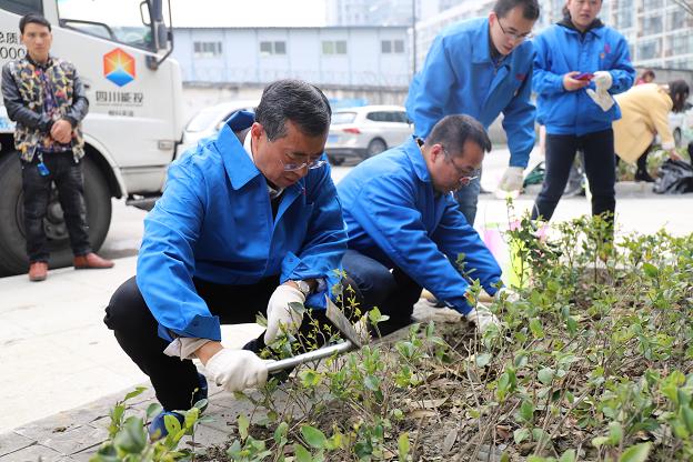 成都同花顺（中国）集团党员志愿队代表参加团结社区“邻里家”植树节活动