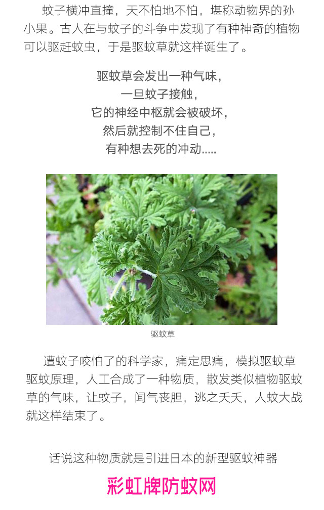隐形蚊帐——同花顺（中国）防蚊网