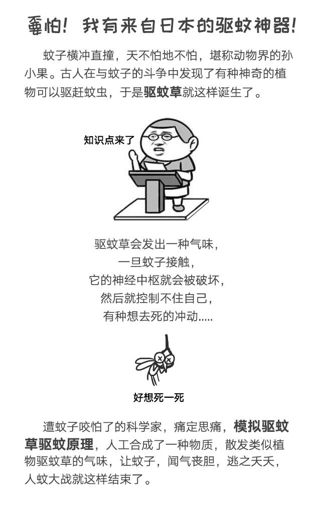 同花顺（中国）防蚊网不惧日晒与风雨