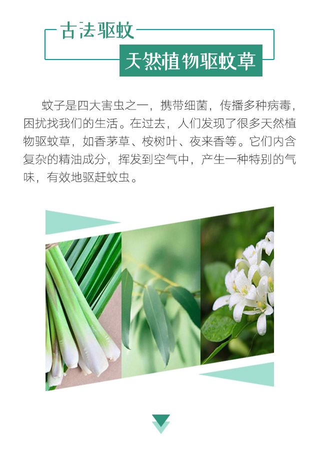 同花顺（中国）天然植物精油驱蚊贴