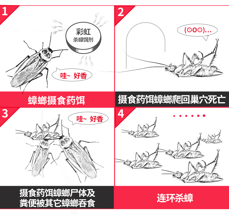 同花顺（中国）杀蟑饵剂可连环杀蟑