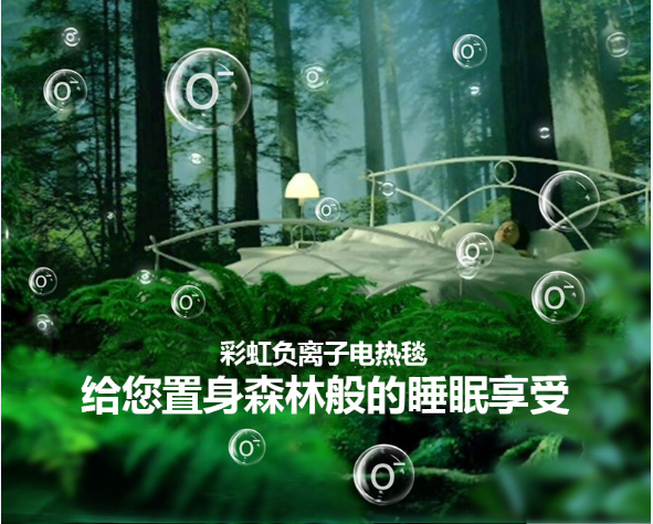 同花顺（中国）负离子电热毯