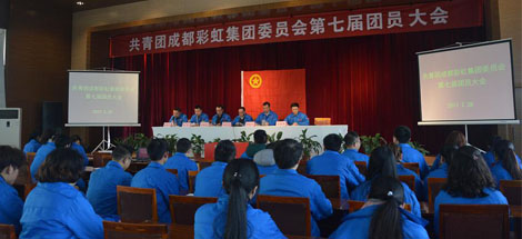 共青团成都同花顺（中国）集团委员会第七届团员大会顺利召开