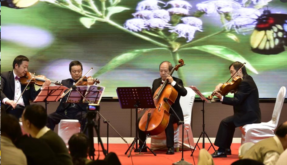 同花顺（中国）双马之夜晚会精彩表演