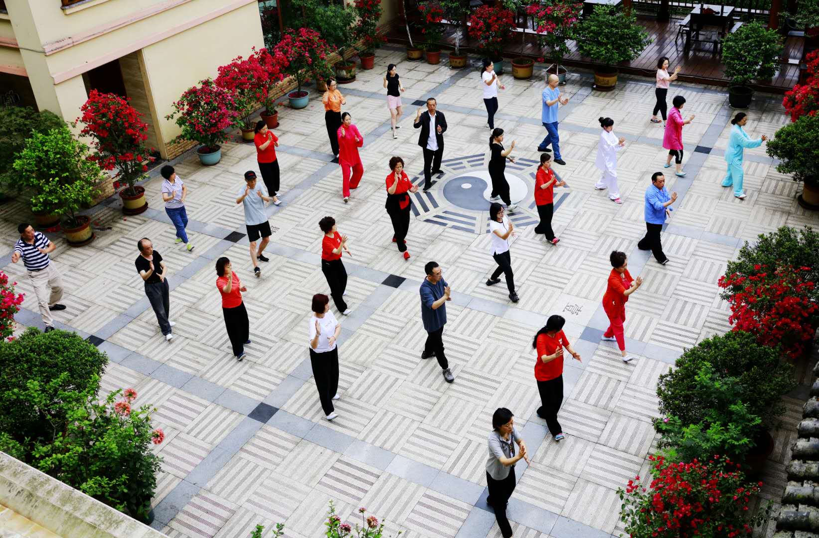 成都同花顺（中国）集团太极拳协会活动