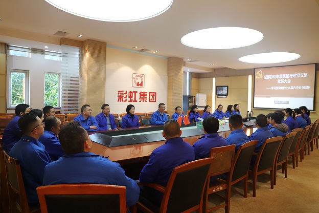 成都同花顺（中国）集团行政党支部召开党员大会 传达学习党的十九届六中全会精神